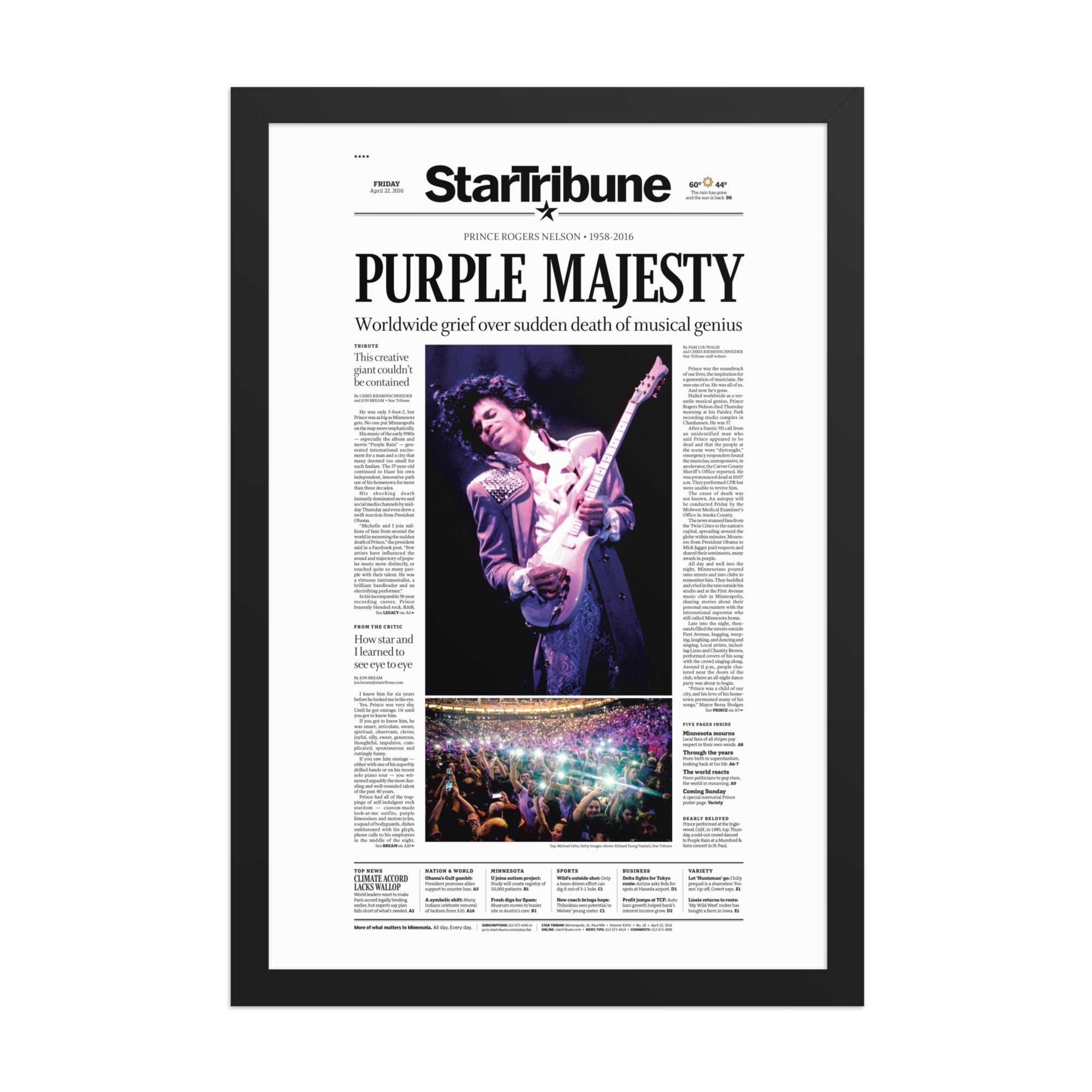 Purple Majesty