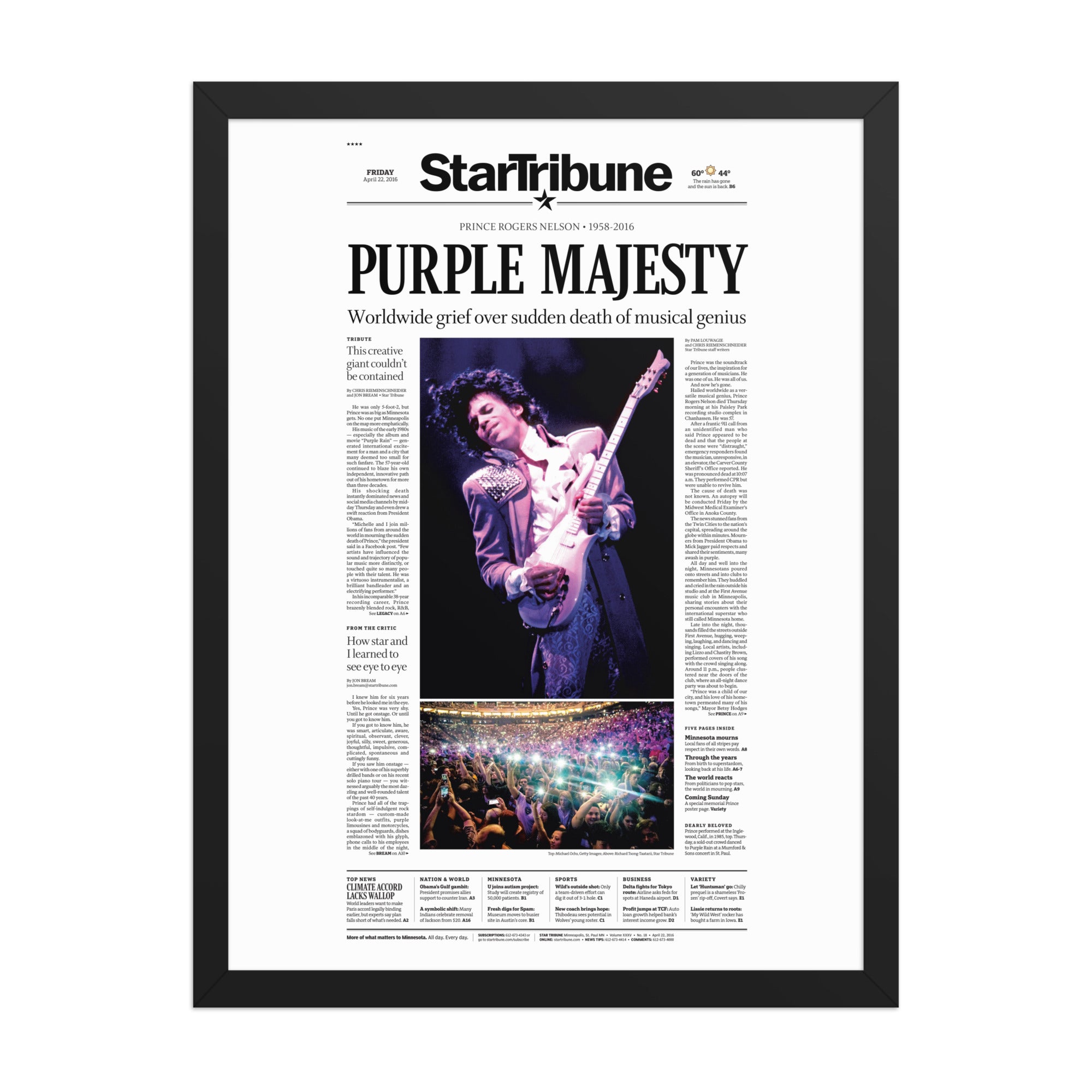 Purple Majesty