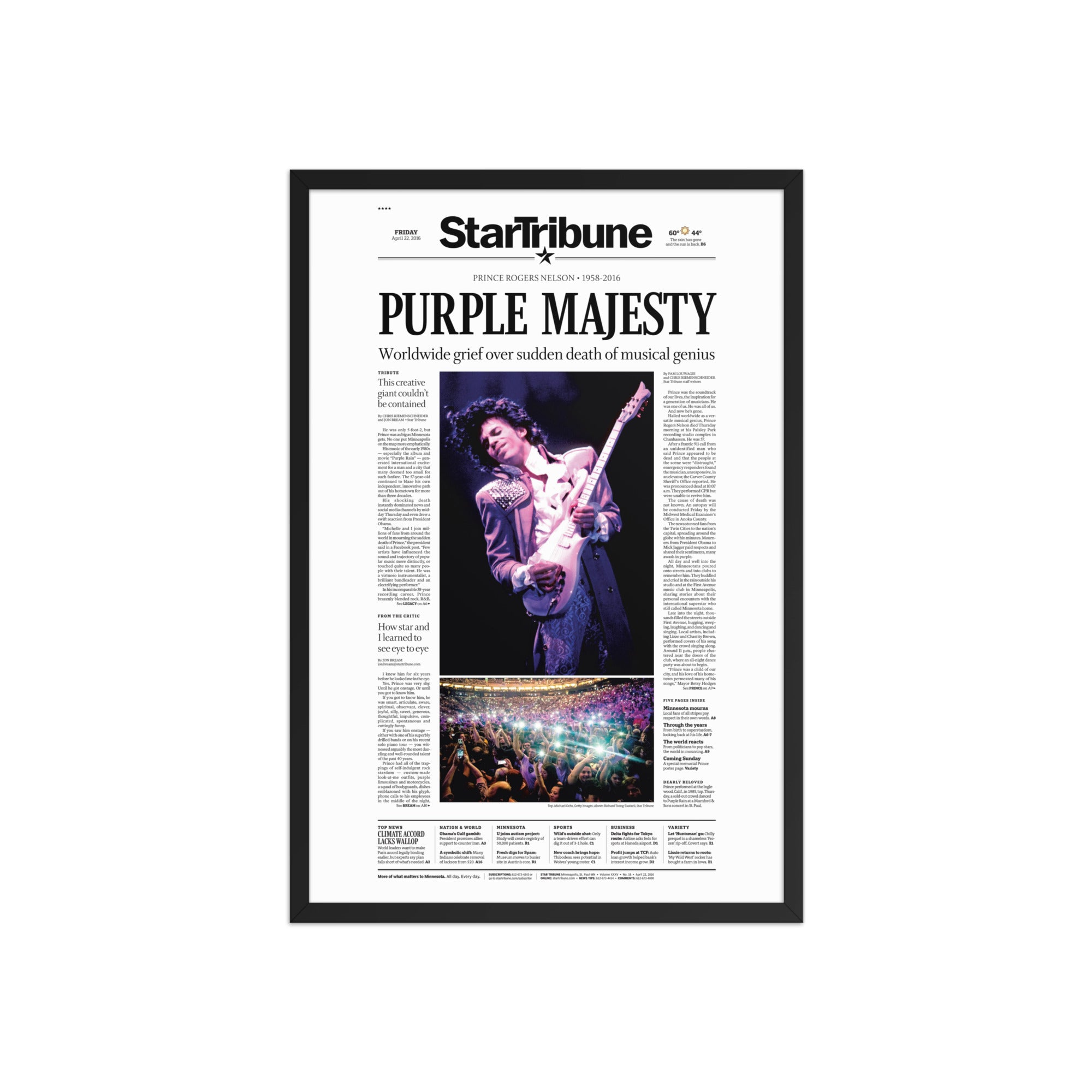 Purple Majesty