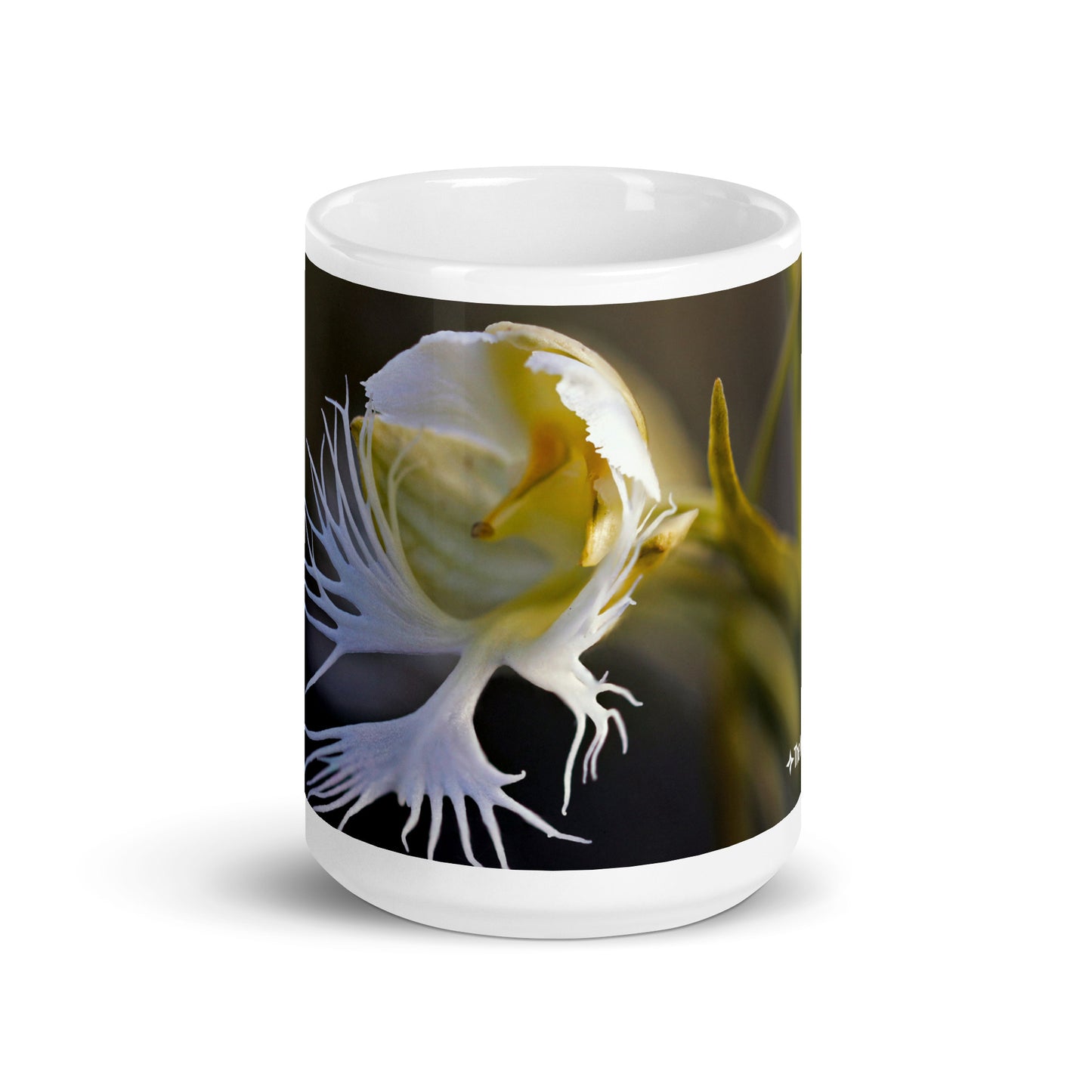 Western Fringed Prairie Orchid Mug