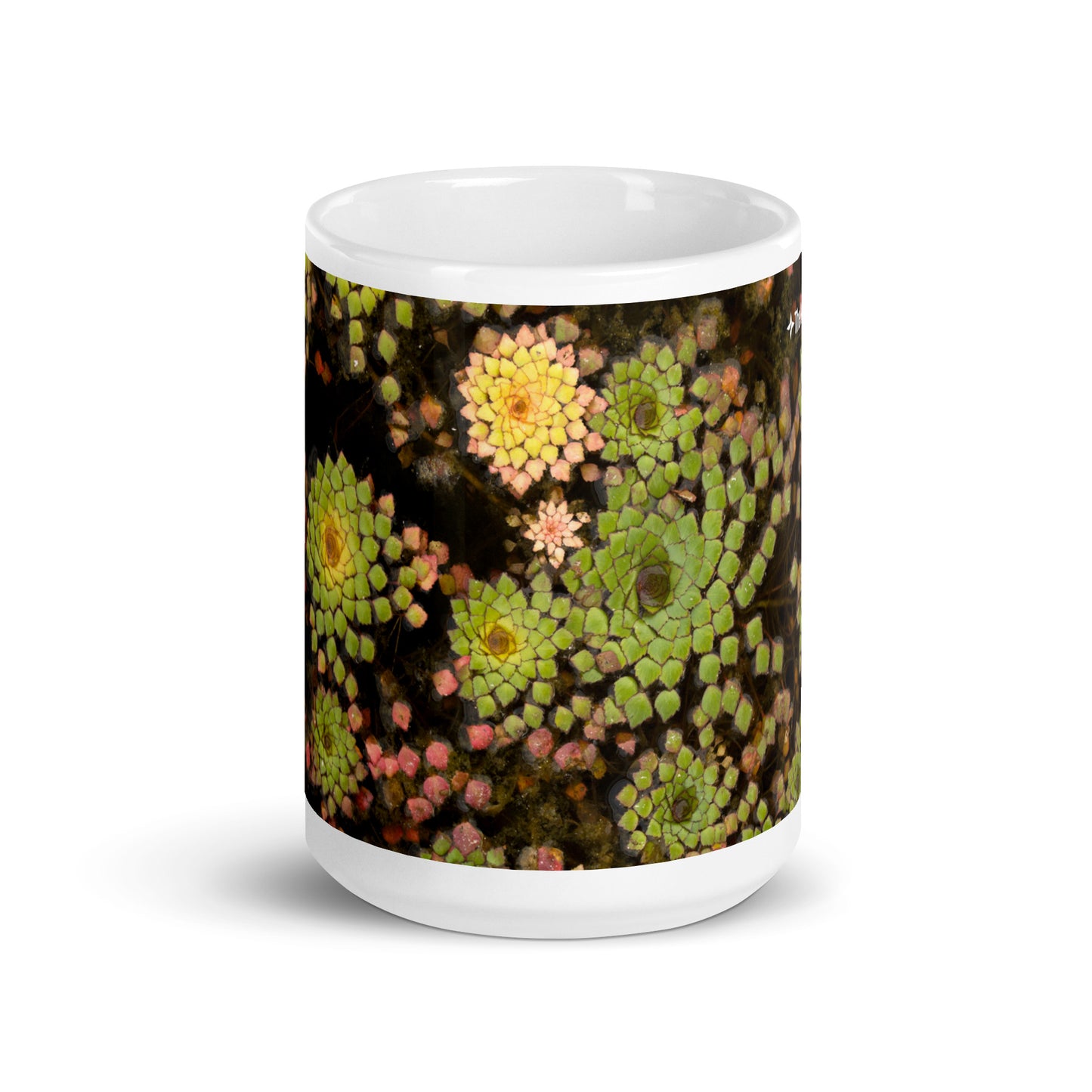 Water Garden Mug