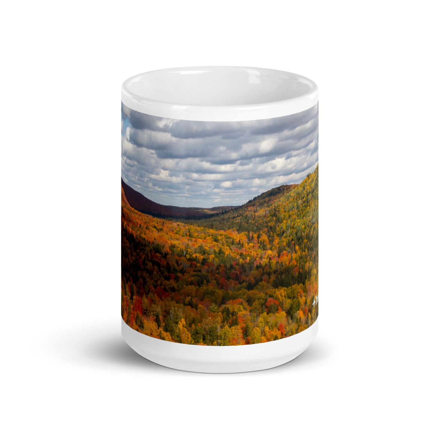 Fall Foliage at Oberg Mountain Mug