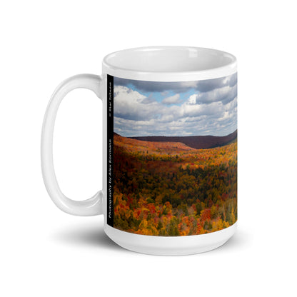 Fall Foliage at Oberg Mountain Mug