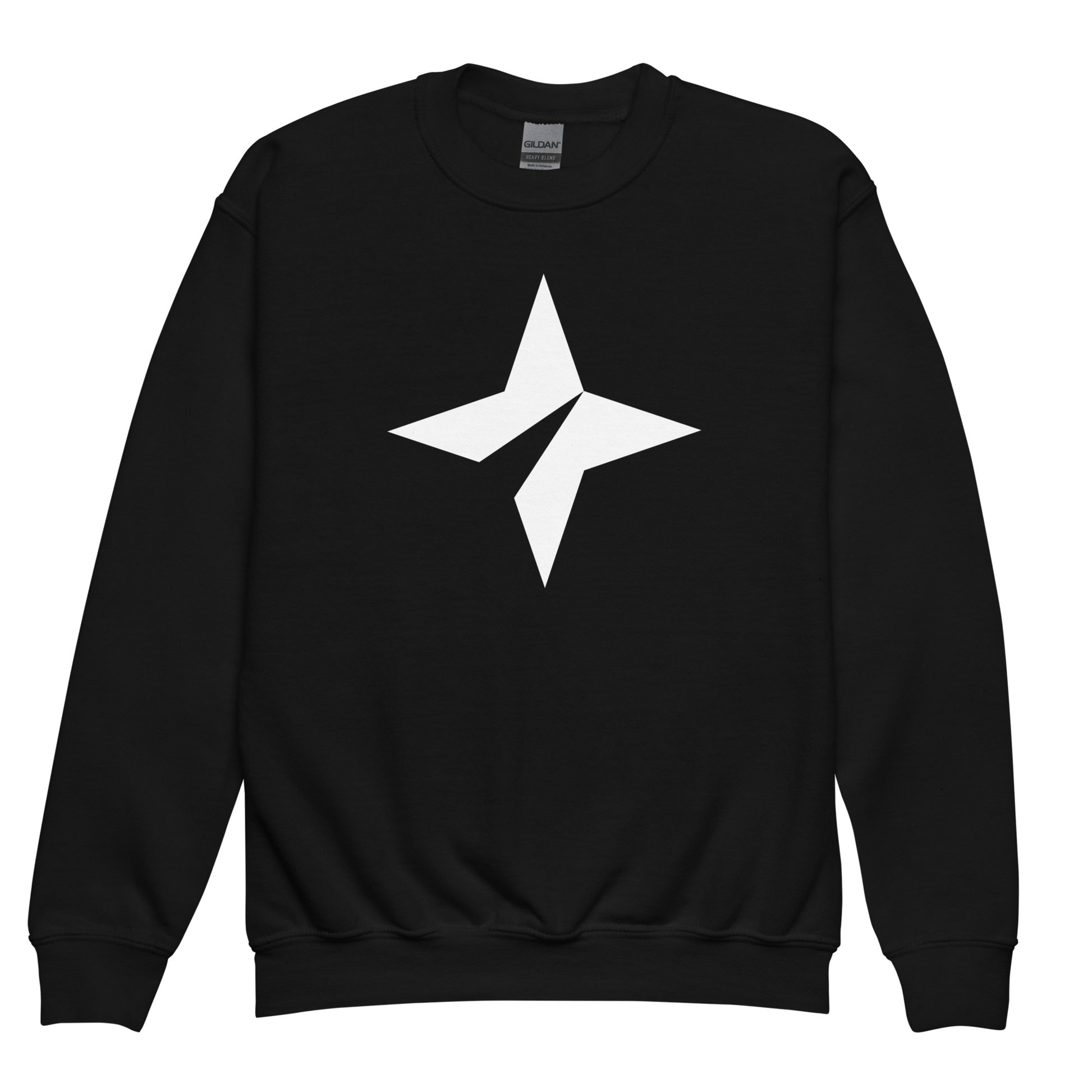 North Star Youth Sweatshirt – Strib Store The Minnesota Star Tribune